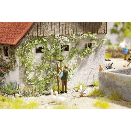 [NO14132] Une vigne sauvage / 12 plants - NOCH 14132 - HO 1/87
