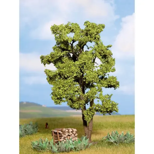 [NO21660] Arbre Acacia - Noch 21660 - HO / O / TT / N