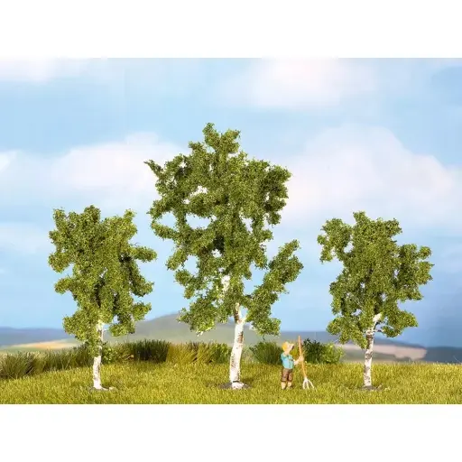 [NO25520] Pack 3 Bouleaux - NOCH 25520 - Z | N - Diorama