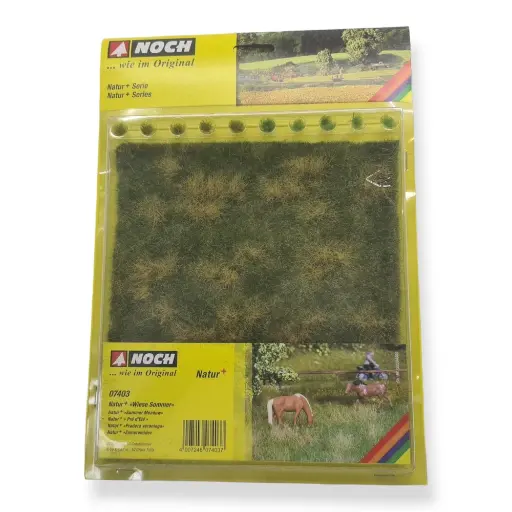 [NO07403] Fibre + 10 touffes d'herbes - Prairie d'été - Vert / marron - NOCH 07403 - Échelle universelle - 220 x 200 mm