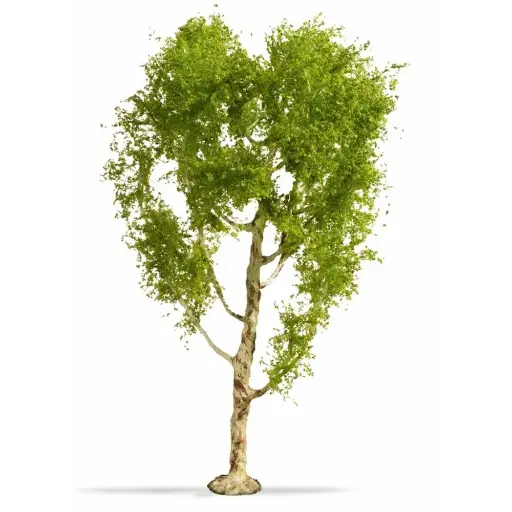 [NO20125] Bouleau Pubescent - Noch 20125 - Toutes Echelles