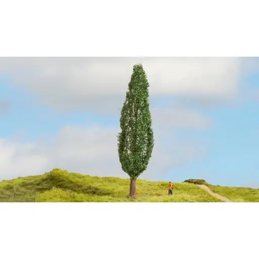 [NO20130] Peuplier - Noch 20130 - échelle universelle