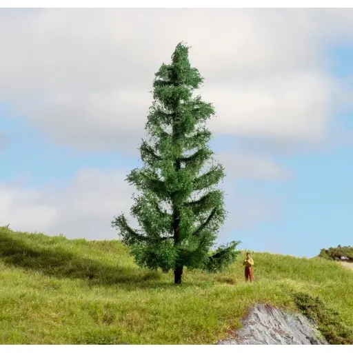 [NO20193] Arbre sapin épicéa - Noch 20193 - Échelle universelle