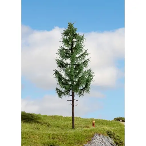 [NO20197] Arbre épicéa a tronc élevé - NOCH 20197