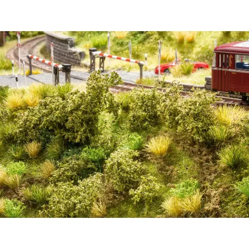 [NO23102] Végétation des talus - Noch 23102