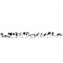 [NO45721] Vaches, noires et blanches - Noch 45721 - TT 1/120