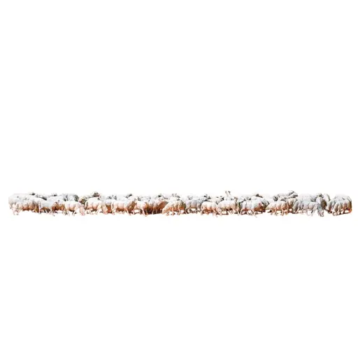 [PR14411] Troupeau de 60 moutons - Preiser 14411 - HO 1/87