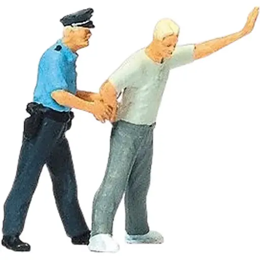 [PR28119] Arrestation