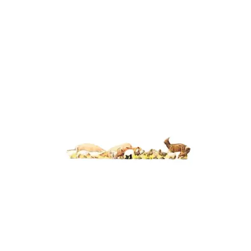 [PR79093] Pack de Porcs & Chèvres + Oies & Poulets - PREISER 79093 - N : 1/160