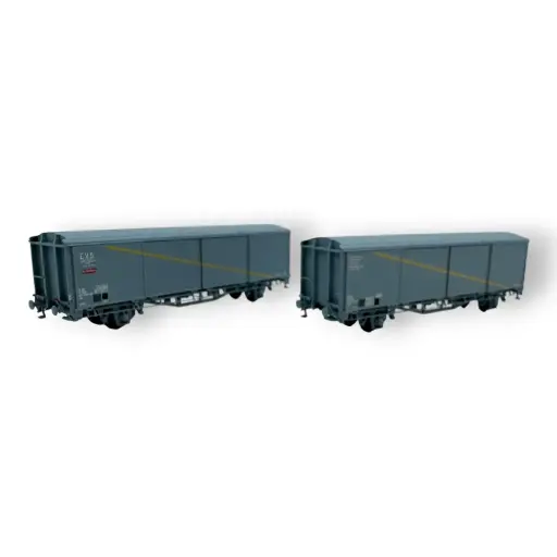 [TRAINS16033] Set de 2 wagons SNAV toits bas EVS - Trains160 16033 - N 1/160 - SNCF - Ep IV-V - 2R