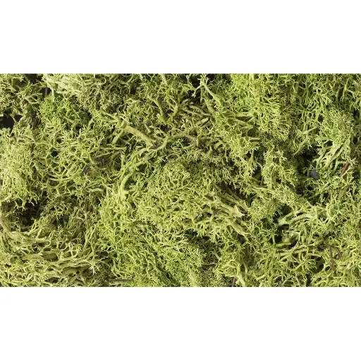 [WOL162] Mousse lichen vert clair - Woodland Scenics L162 - 1,4L
