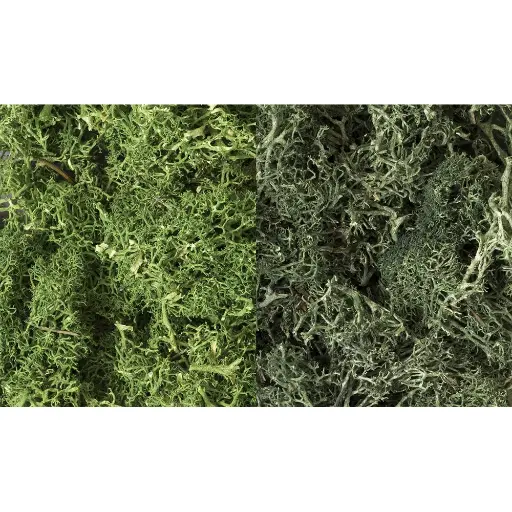 [WOL168] Mousse lichen mix vert/vert foncé - Woodland Scenics L168 - 2L