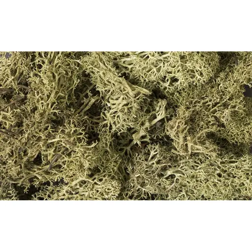 [WOL161] Mousse lichen vert printemps - Woodland Scenics L161 - Toutes échelles - 1,41 L
