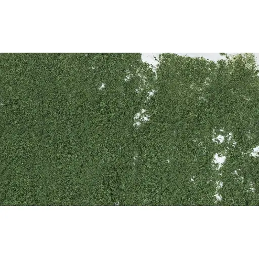 [WOF53] Sachet de flocage vert foncé - Woodland Scenics F53 - 464cm²